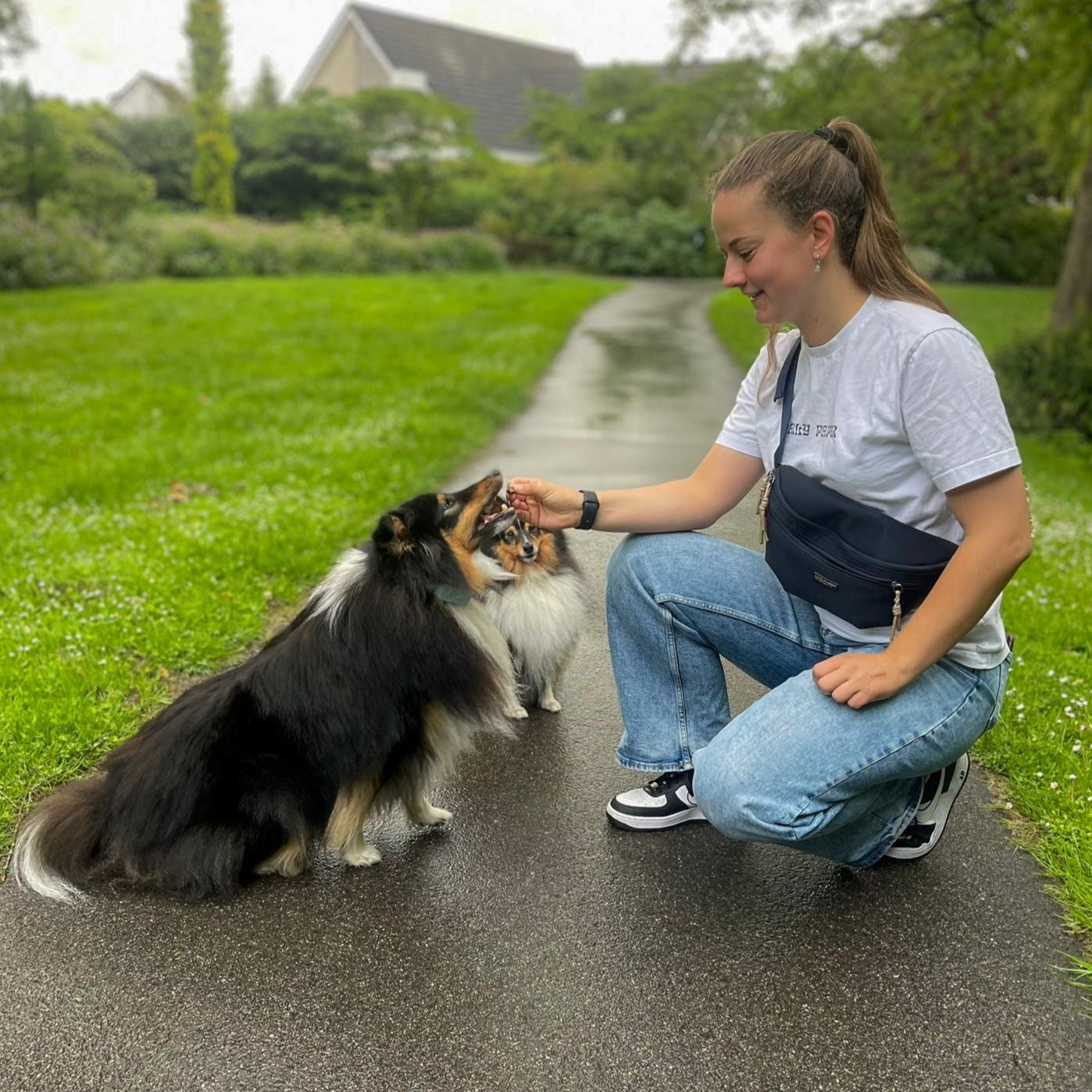 Hunde-Hüfttasche | Wasserabweisend | Abnehmbare Snacktasche | Dunkelblau