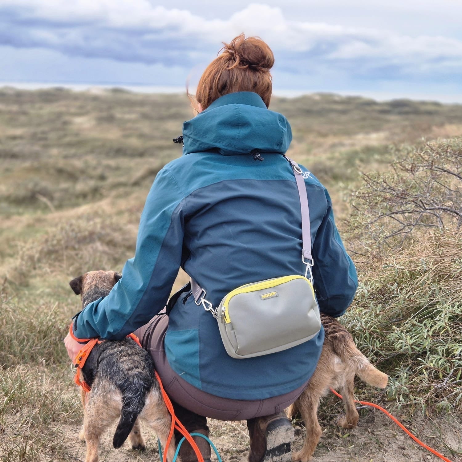 Belohnungstasche für Hunde | Grau und Gelb