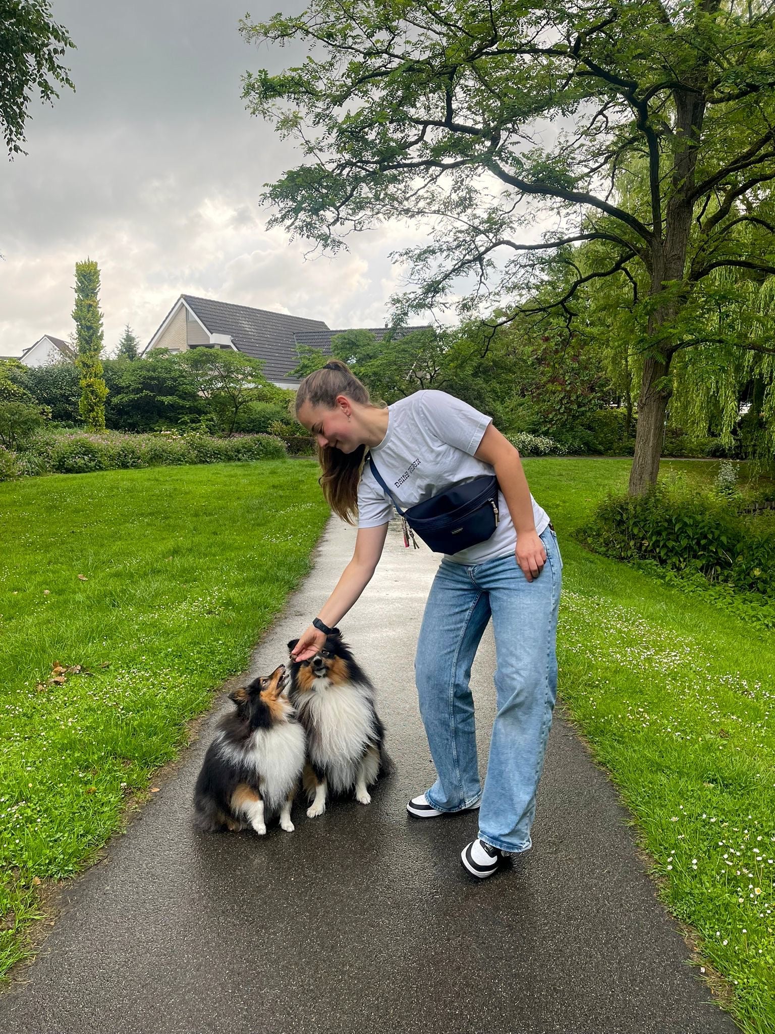 Hunde-Hüfttasche mit separatem Snackfach | Dunkelblau