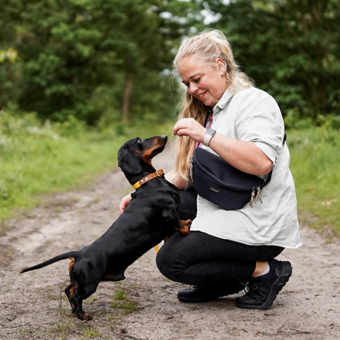 Hunde-Hüfttasche mit separatem Snackfach | Dunkelblau