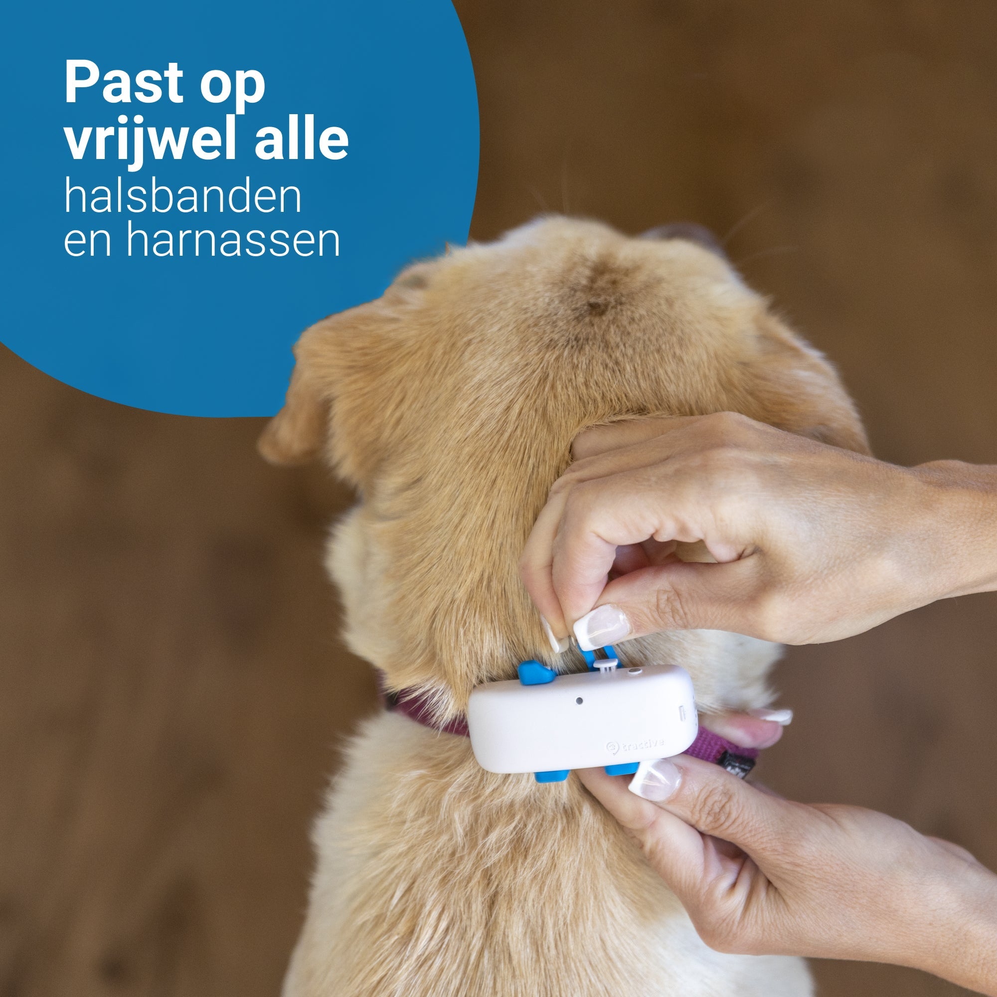 Tractive GPS Hondentracker Dog 4 kleur wit