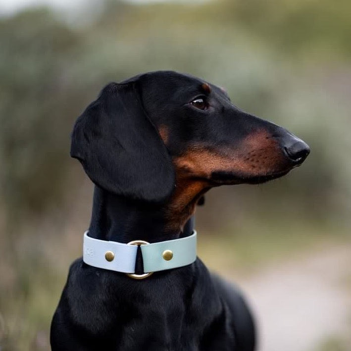 Hondenhalsband met naam BioThane | Keet
