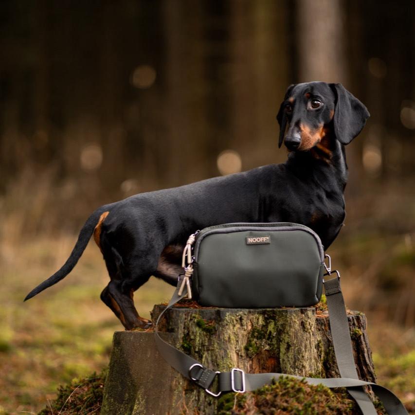 Belohnungstasche für Hunde | Olive