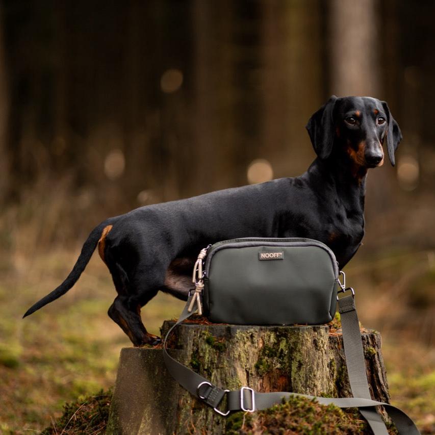 Belohnungstasche für Hunde | Olive
