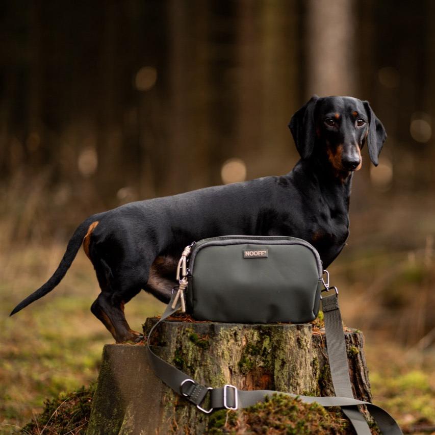 Belohnungstasche für Hunde | Olive