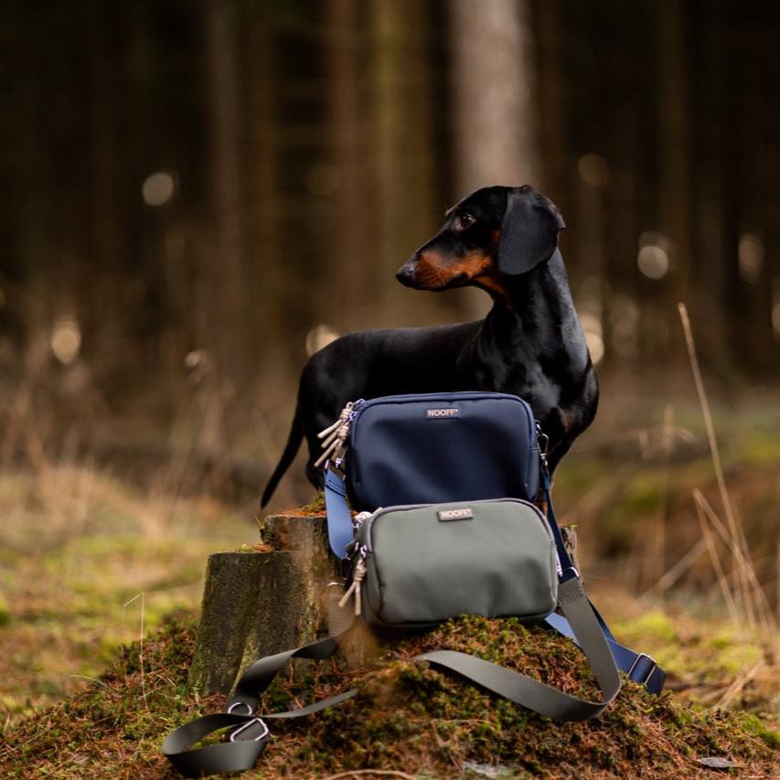 Belohnungstasche für Hunde | Olive