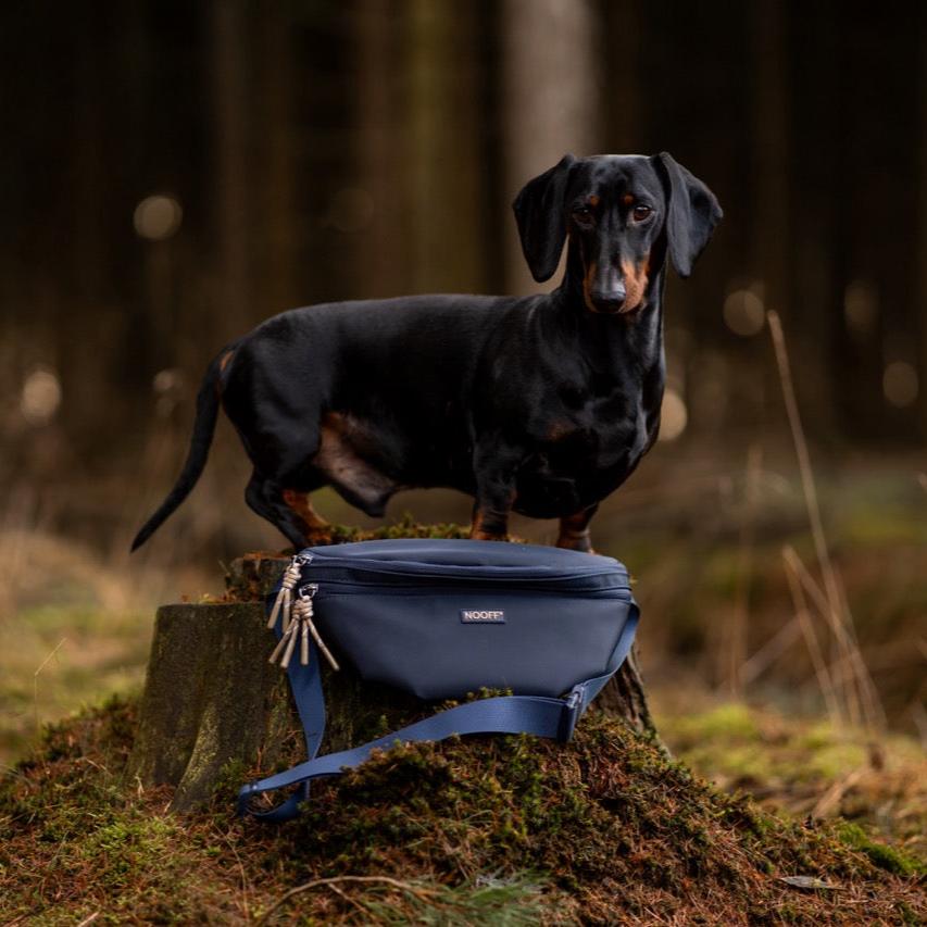 Hunde-Hüfttasche | Wasserabweisend | Abnehmbare Snacktasche | Dunkelblau