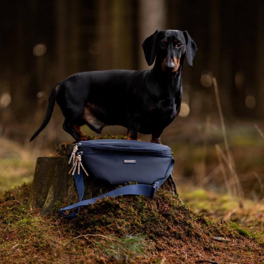 Hunde-Hüfttasche | Wasserabweisend | Abnehmbare Snacktasche | Dunkelblau