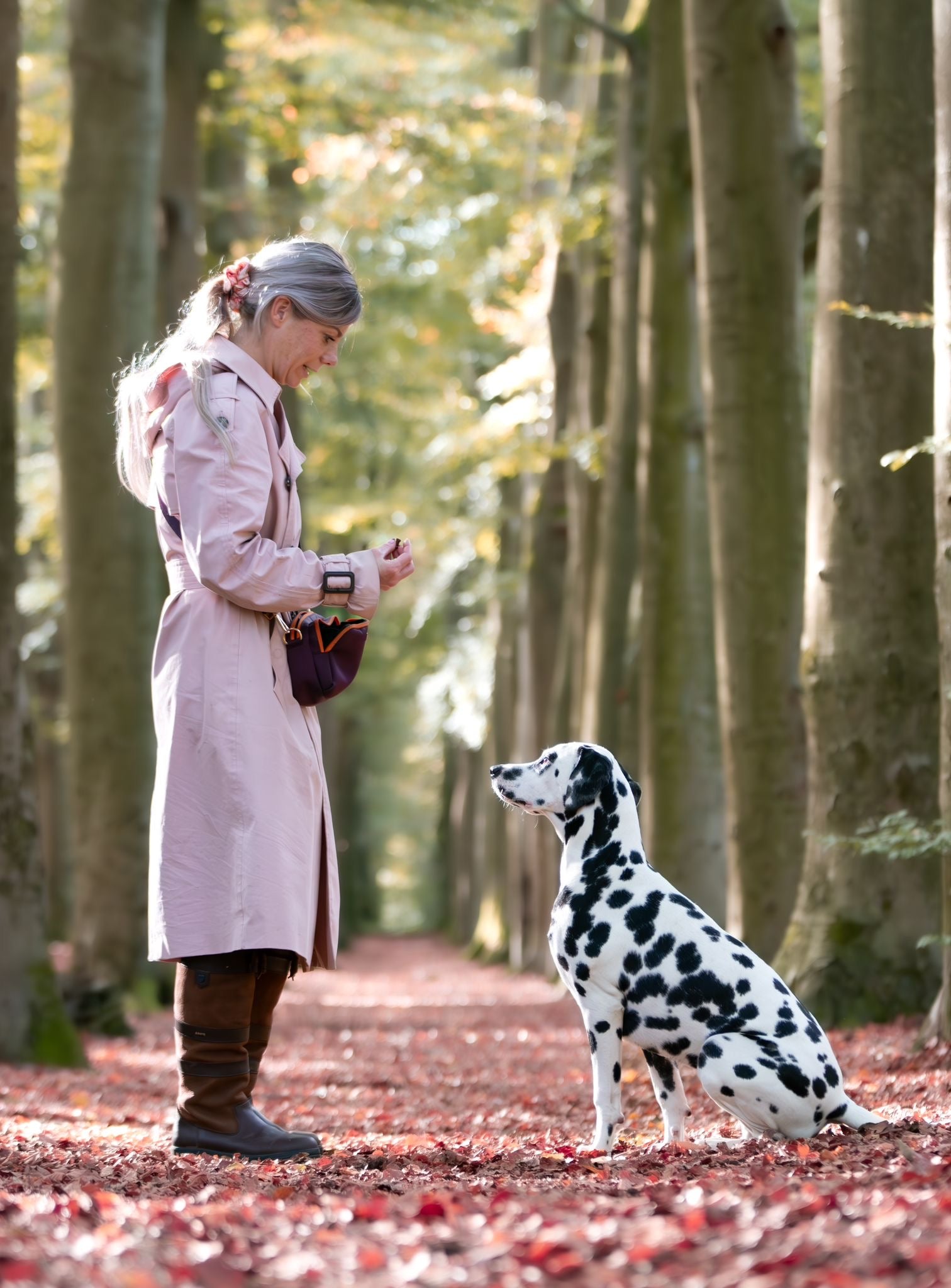 Hundebelohnungstasche | Burgunder und Pfirsich
