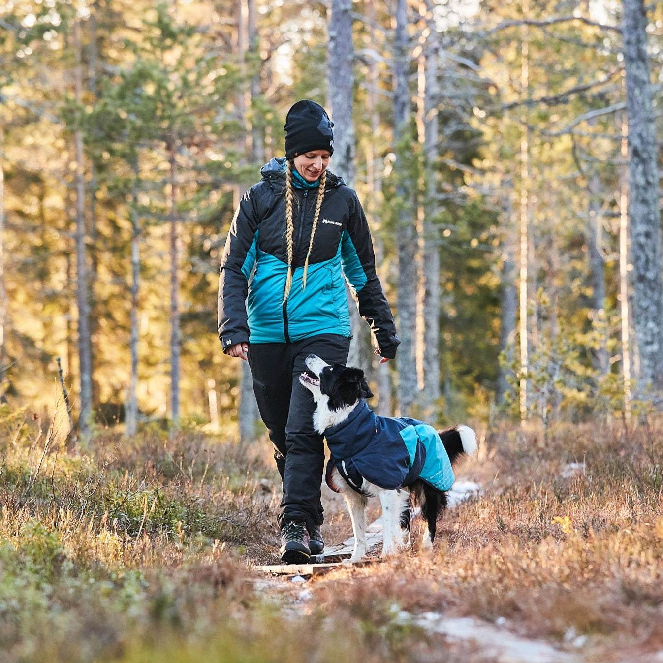 Border Collie draagt hondenwinterjas van non stop dogwear in kleur blauw