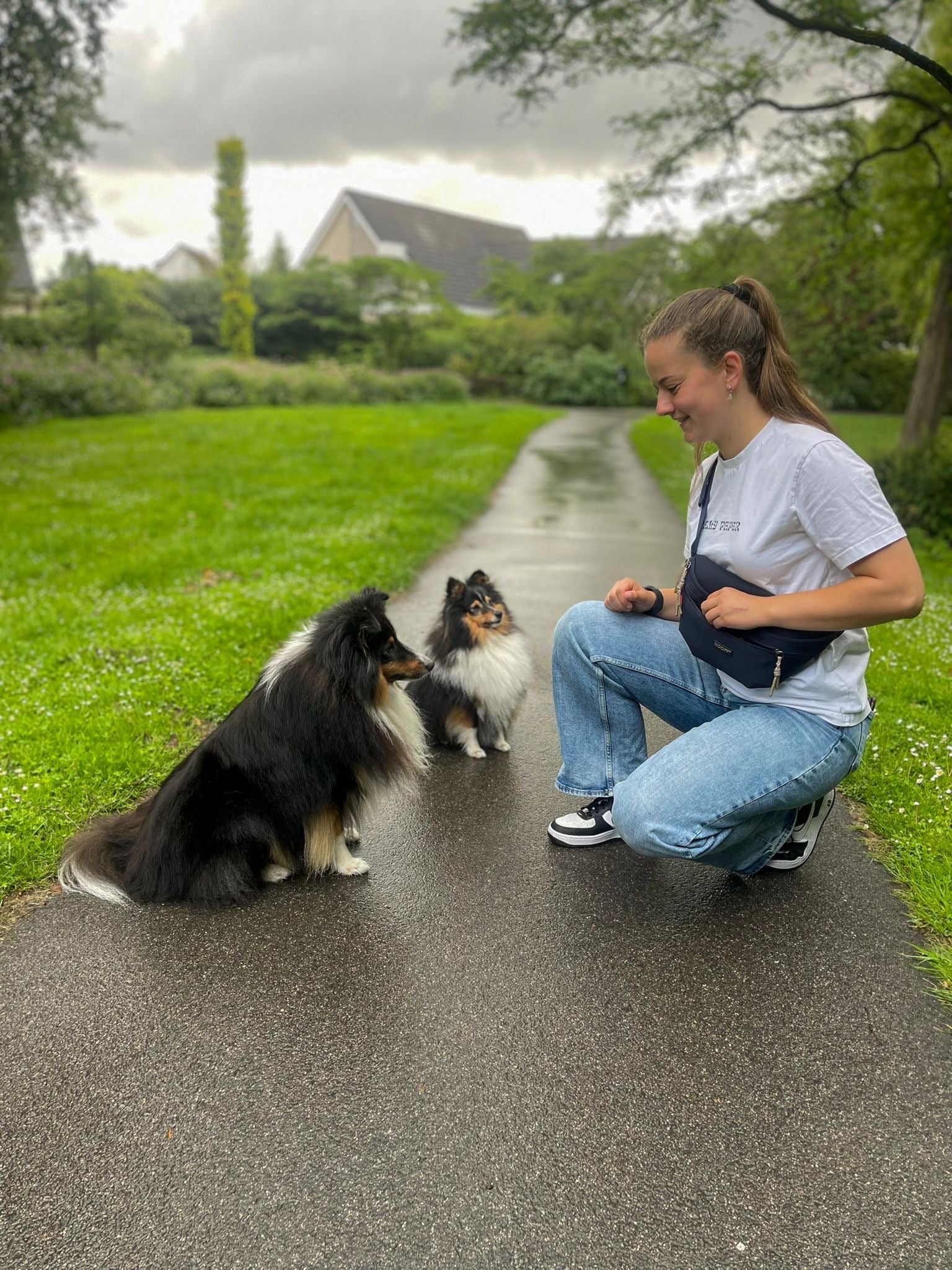 Hunde-Hüfttasche mit separatem Snackfach | Dunkelblau