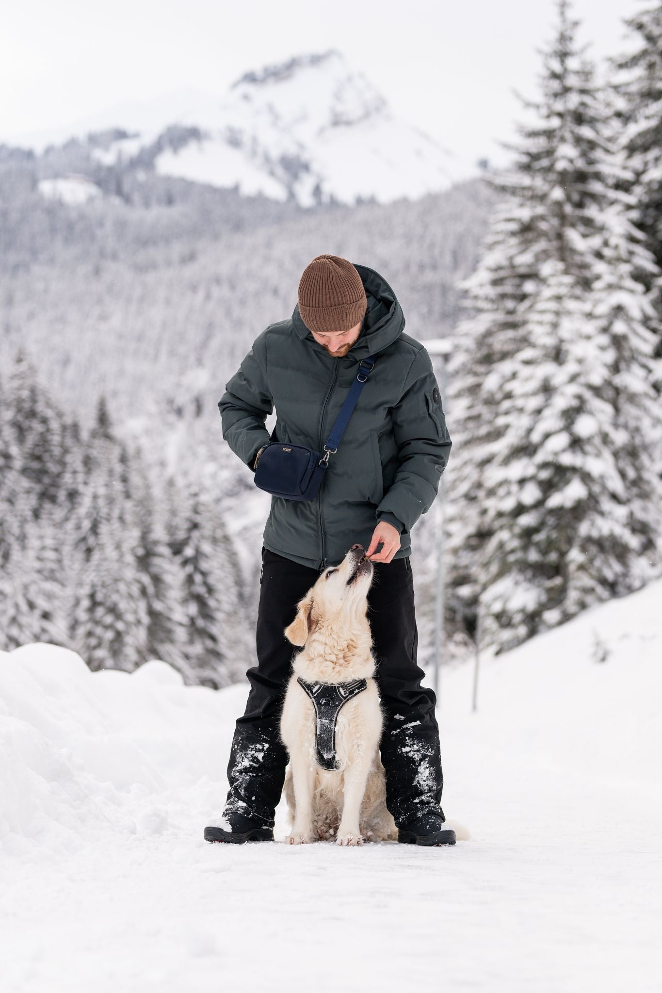Belohnungstasche für Hunde | Dunkelblau