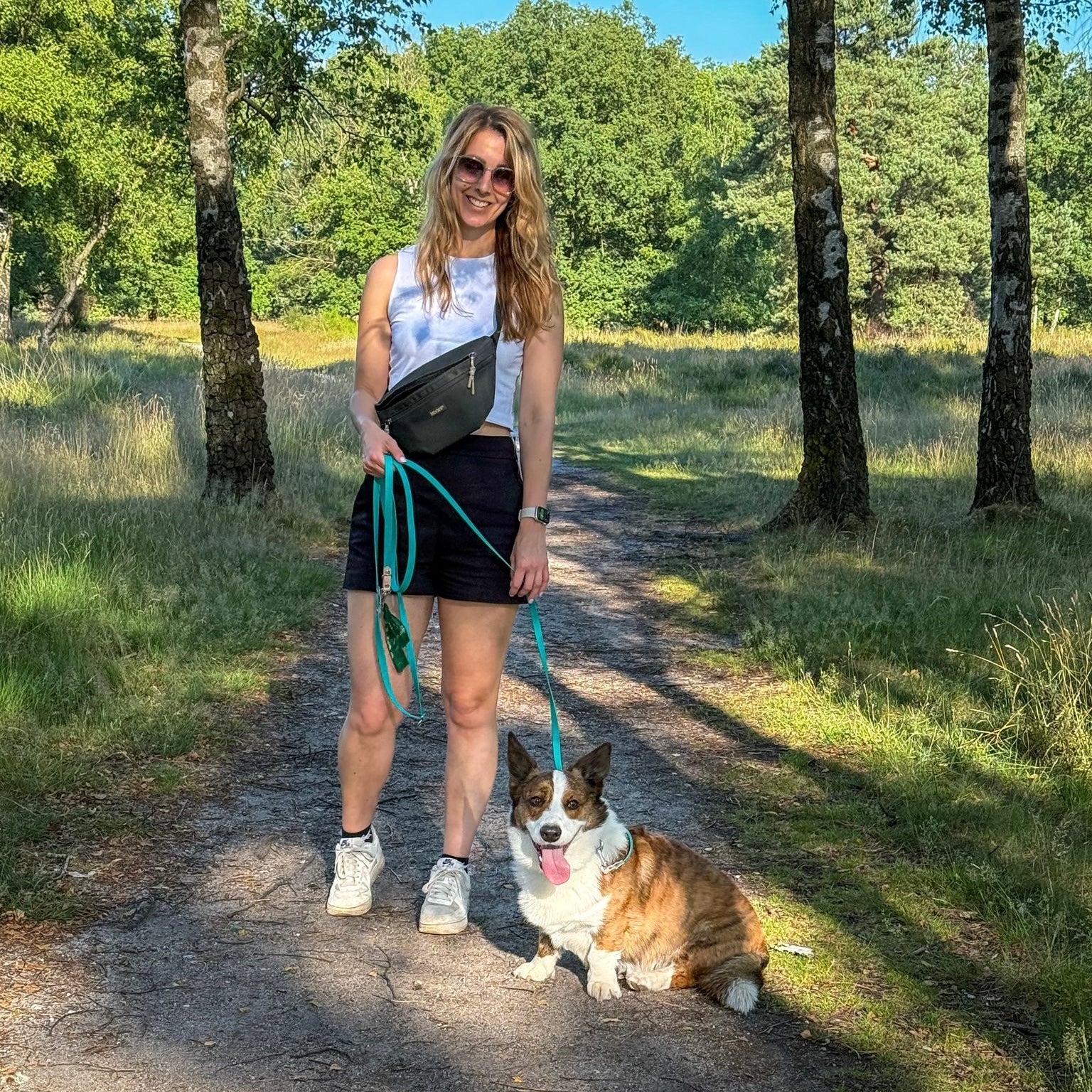 Hunde-Hüfttasche | Wasserabweisend | Abnehmbare Snacktasche | Olivgrün