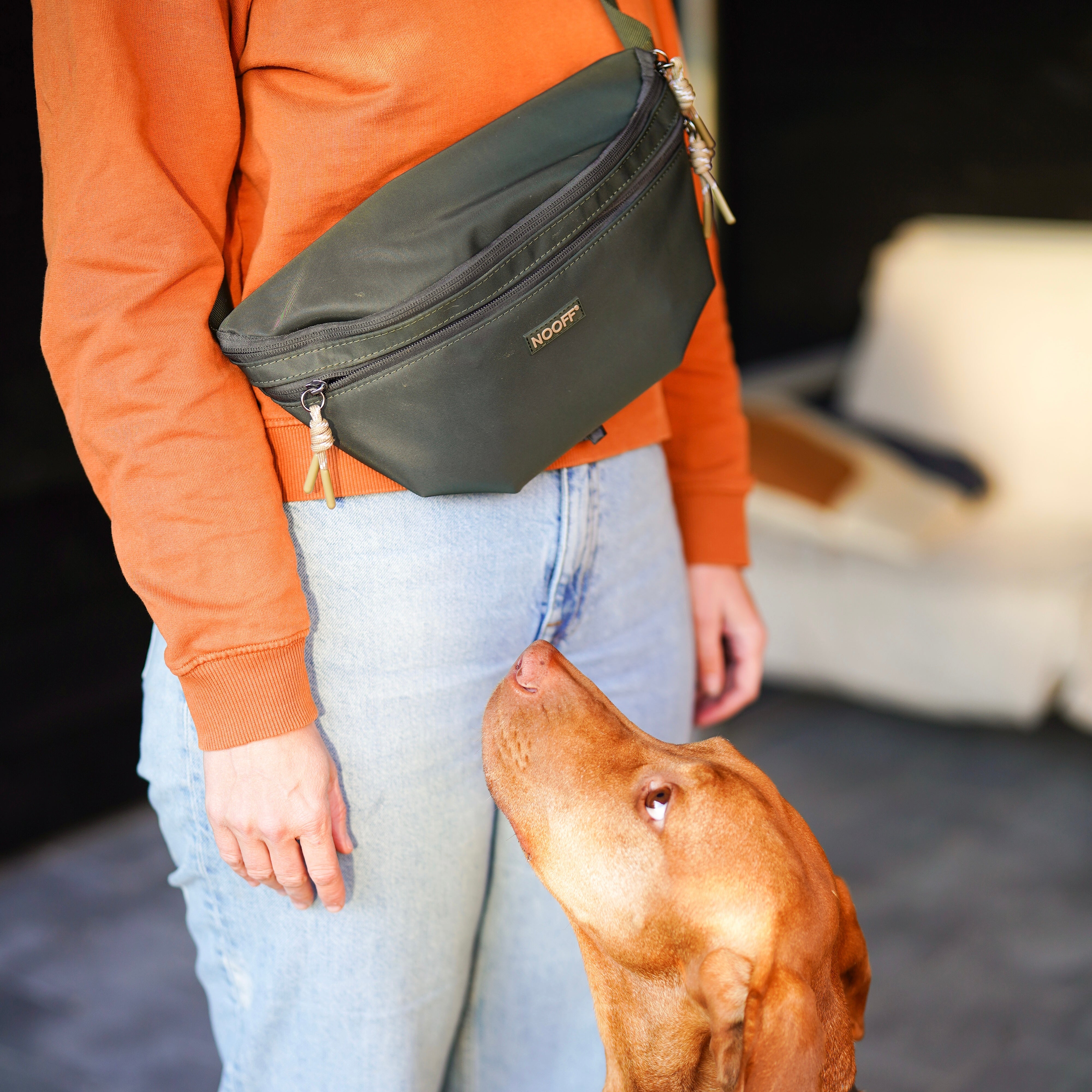 Hunde-Hüfttasche | Wasserabweisend | Abnehmbare Snacktasche | Olivgrün