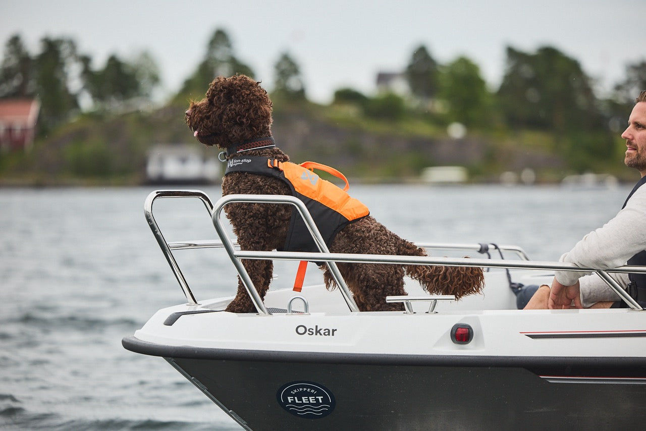 Schwimmweste Hund | Protektor-Rettungsweste Orange/Schwarz