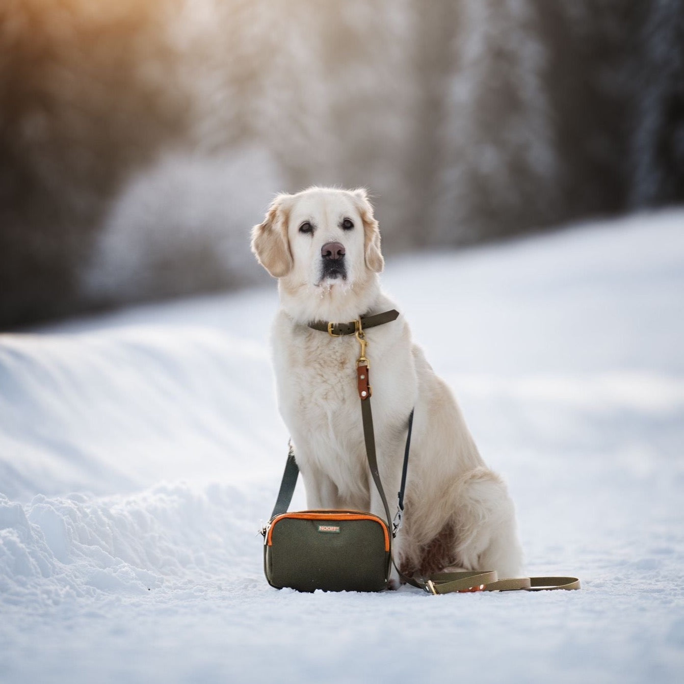 Hondenbeloningstasje olijfgroen en cognac met golden retriever