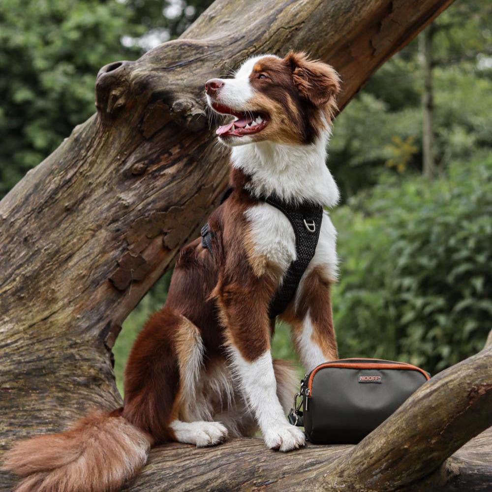 Belohnungstasche für Hunde | Olivgrün und Cognac