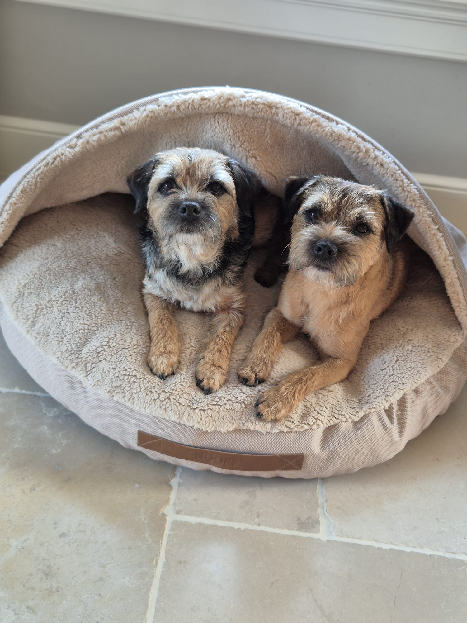 Hundehöhle | Beige und Offwhite