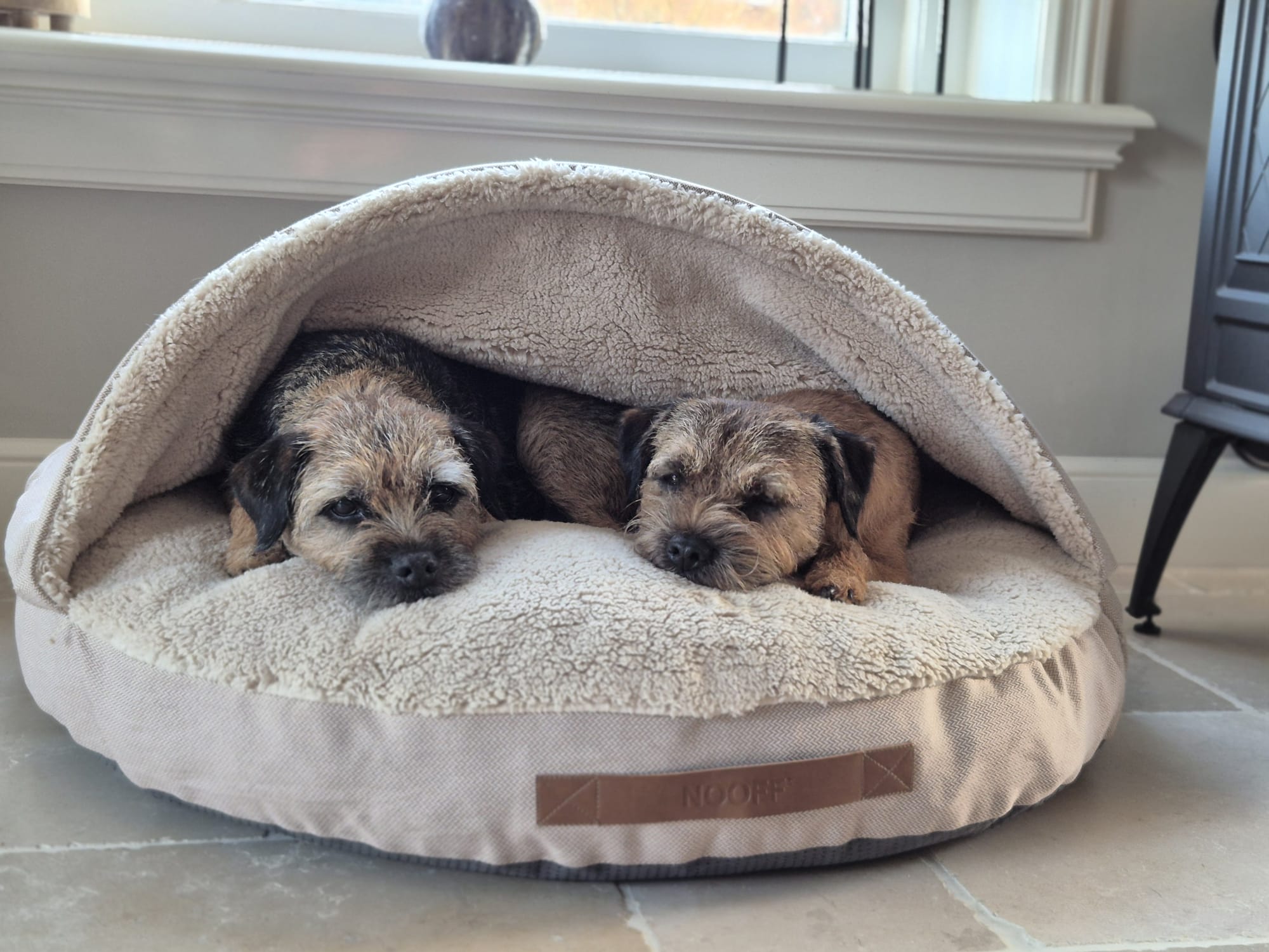 Hundehöhle | Beige und Offwhite