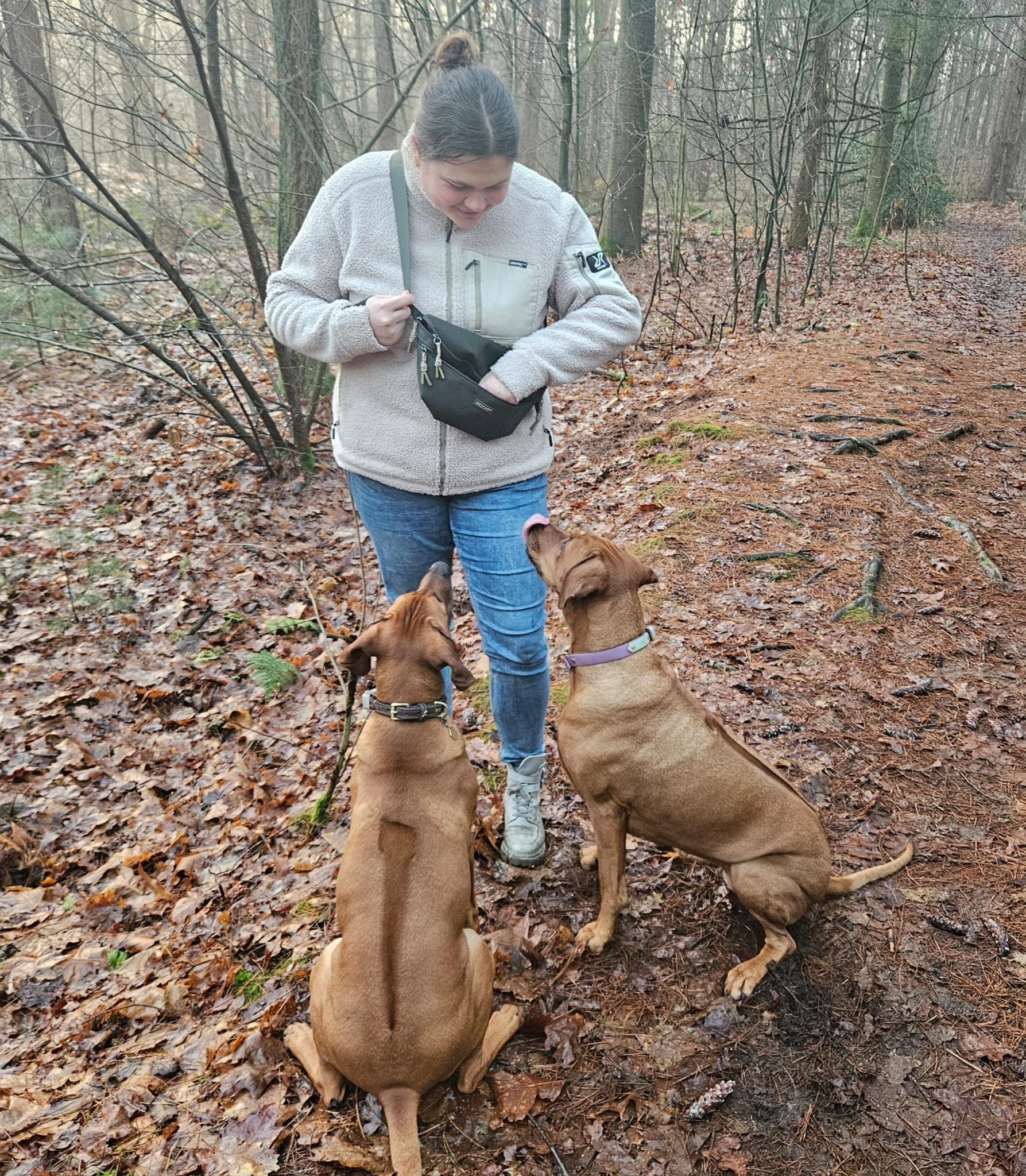 Hunde-Hüfttasche | Wasserabweisend | Abnehmbare Snacktasche | Olivgrün