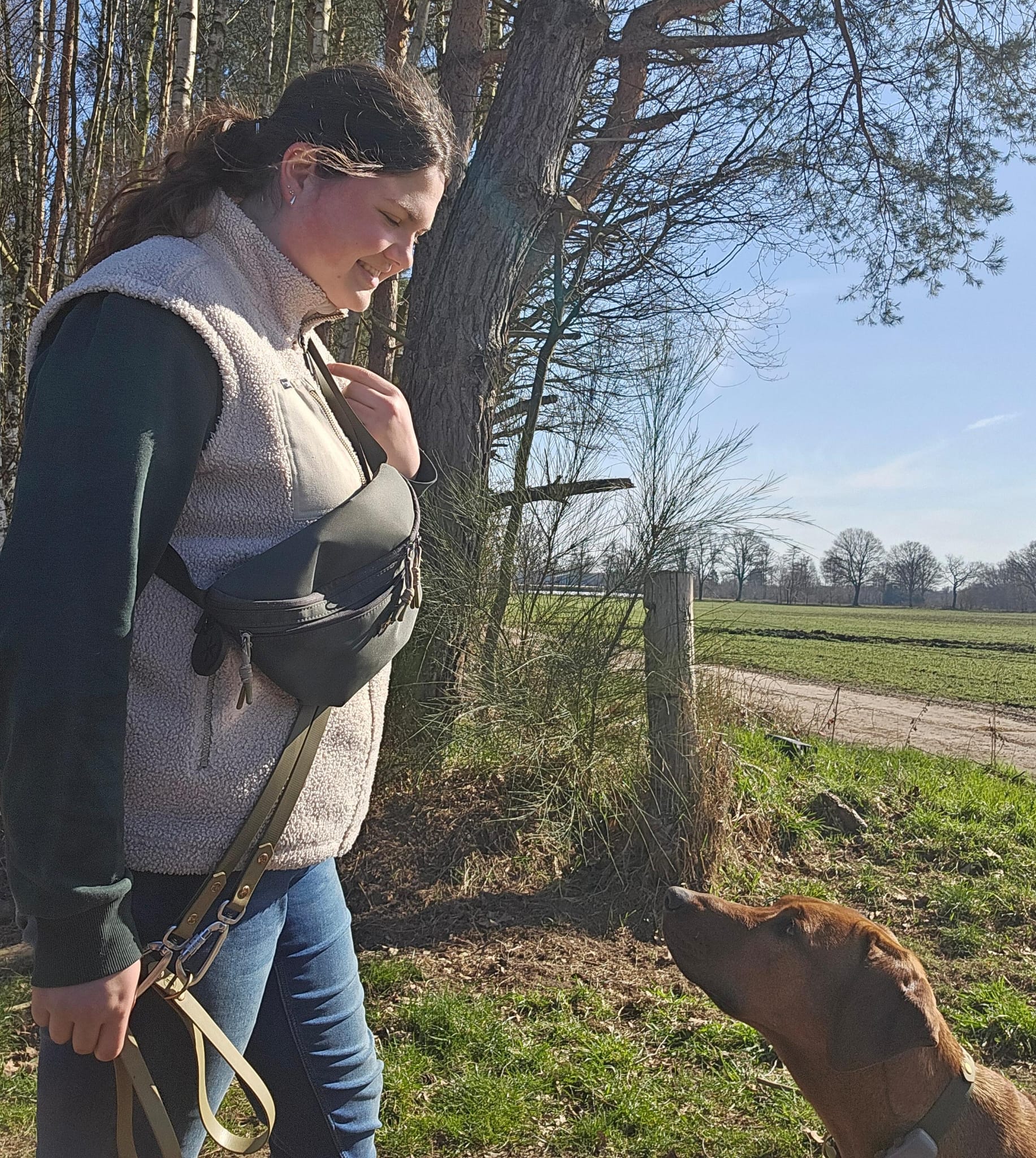 Hunde-Hüfttasche | Wasserabweisend | Abnehmbare Snacktasche | Olivgrün