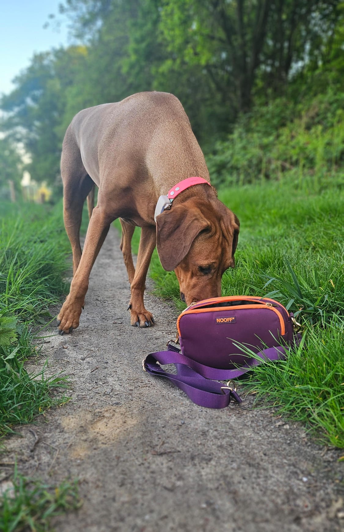 Hundebelohnungstasche | Burgunder und Pfirsich