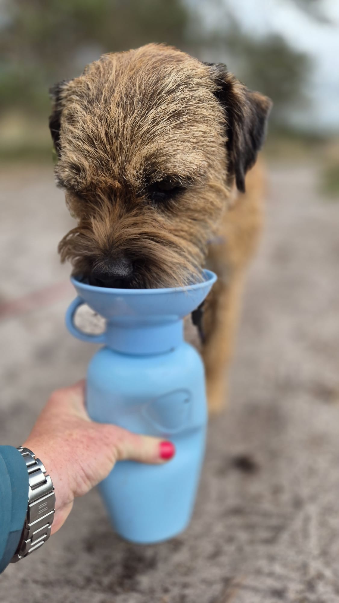 Hundetrinkflasche 650ML | Klassisch | Hellblau