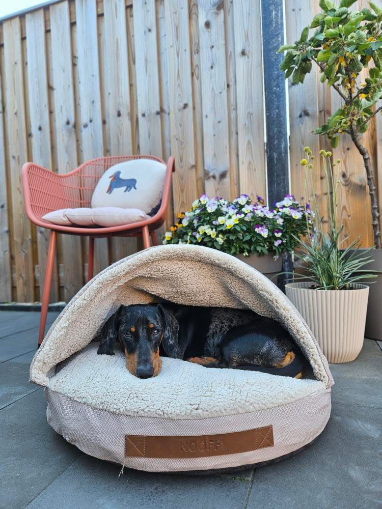 Hundehöhle | Beige und Offwhite