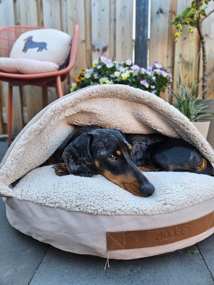Hundehöhle | Beige und Offwhite