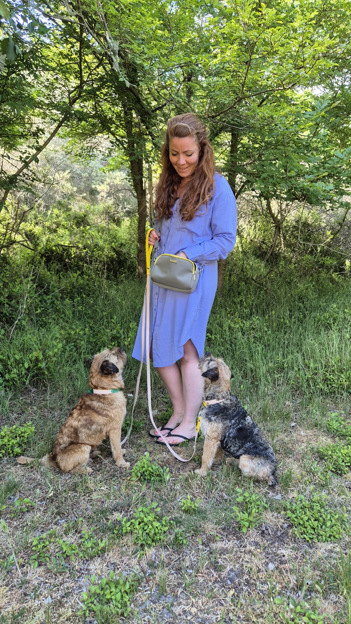 Belohnungstasche für Hunde | Grau und Gelb