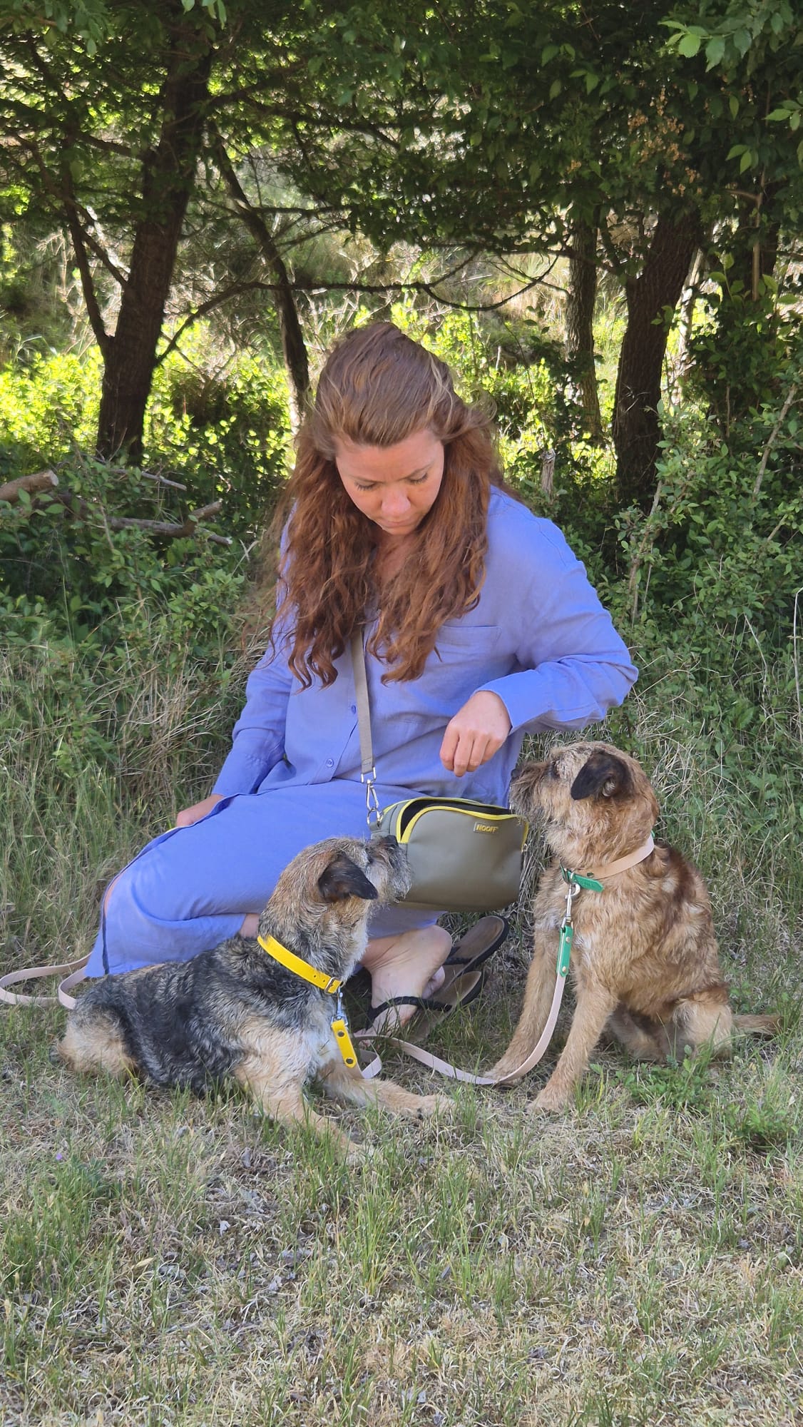Belohnungstasche für Hunde | Grau und Gelb