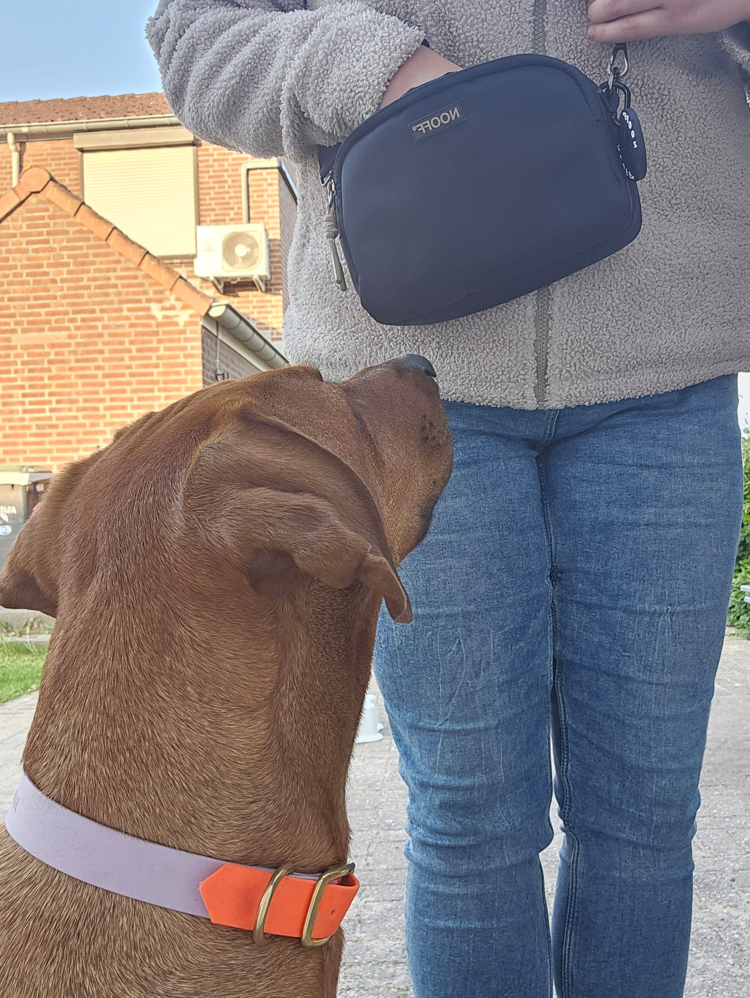 Belohnungstasche für Hunde | Dunkelblau
