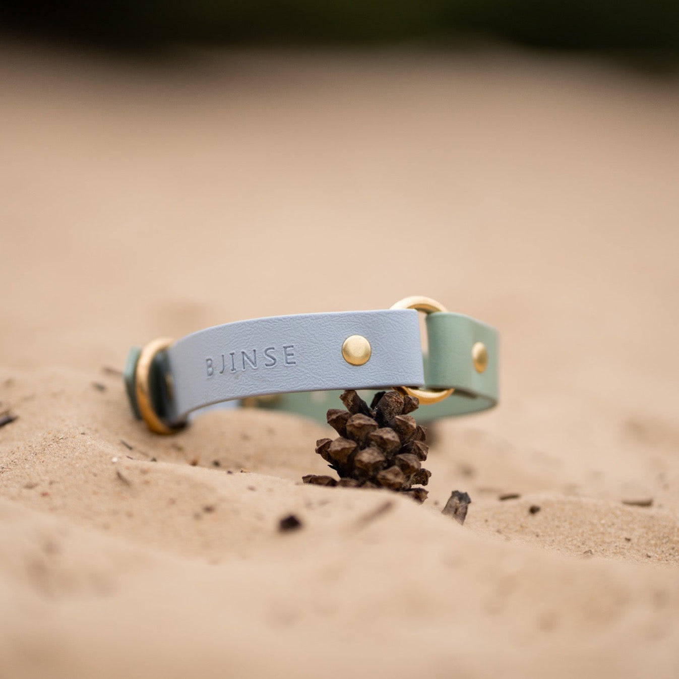 Hondenhalsband met naam BioThane | Keet