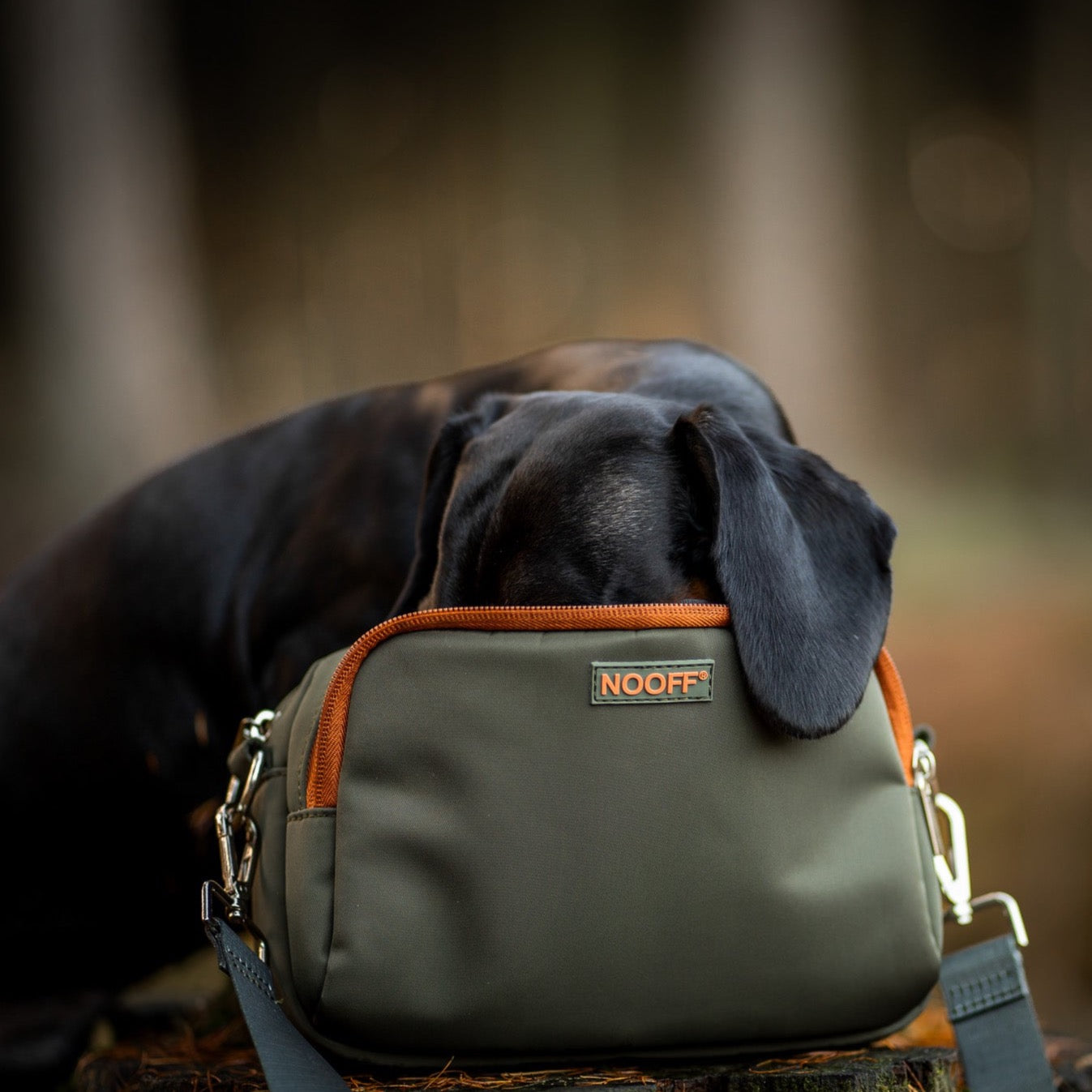 hippe hondenbeloningstasje waterproof van het merk NOOFF®