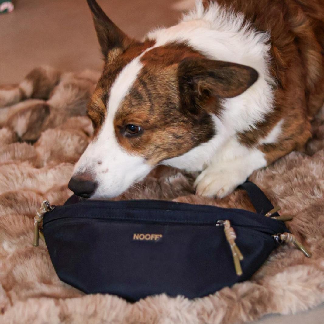 Hunde-Hüfttasche | Wasserabweisend | Abnehmbare Snacktasche | Dunkelblau