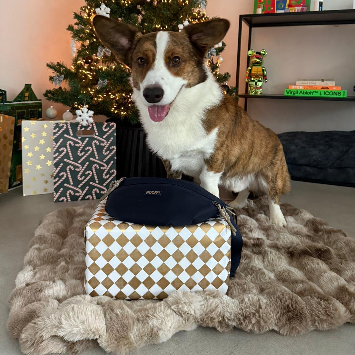 Hunde-Hüfttasche | Wasserabweisend | Abnehmbare Snacktasche | Dunkelblau