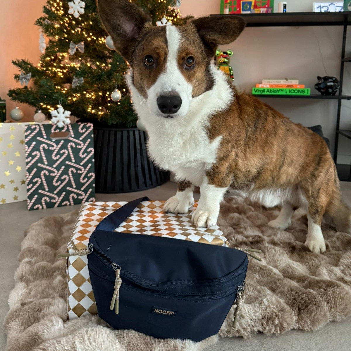 Hunde-Hüfttasche | Wasserabweisend | Abnehmbare Snacktasche | Dunkelblau