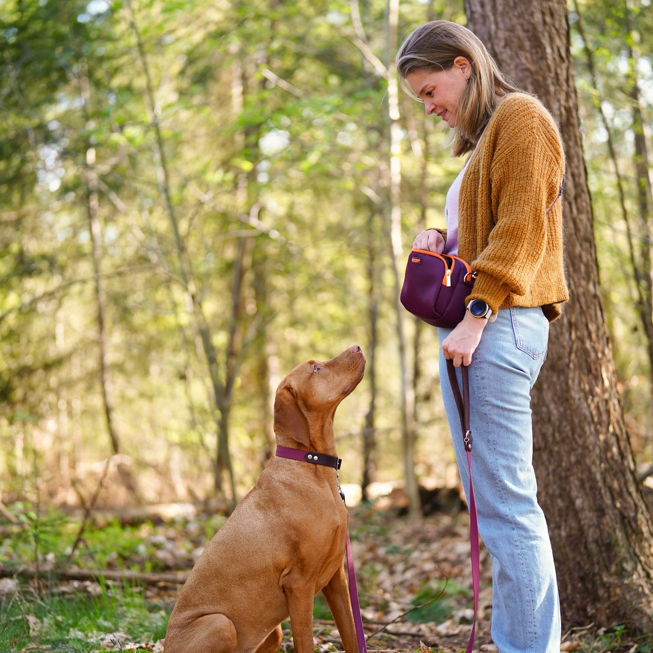 Vizsla met beloningstasje burgundy en perzik waterafstotend