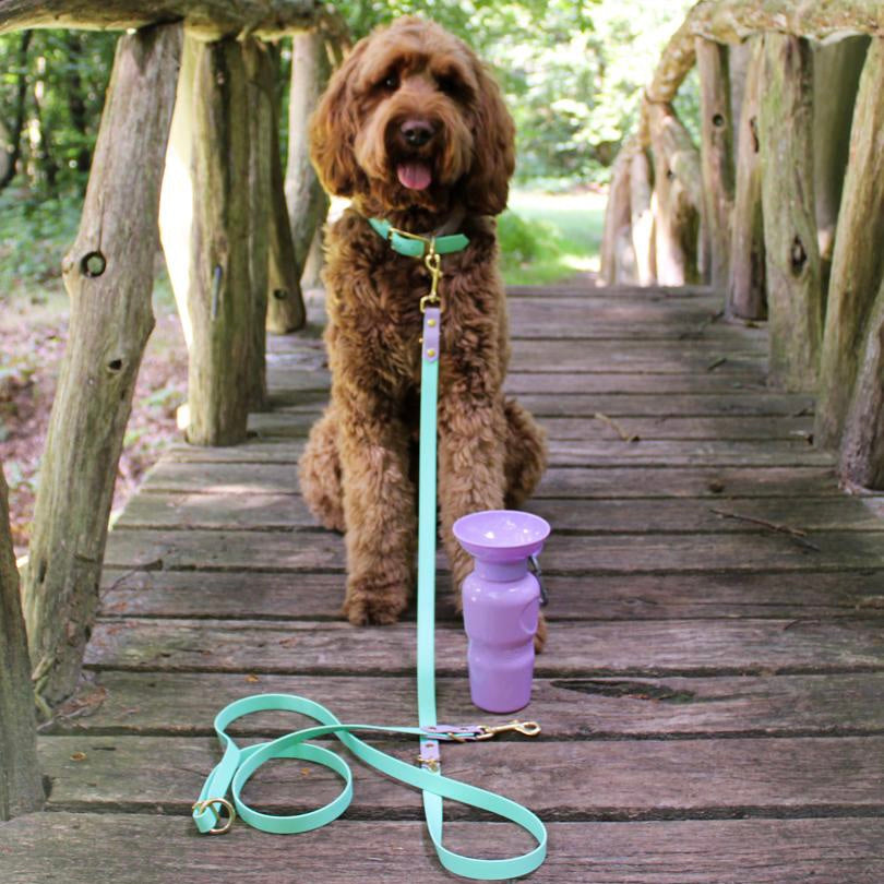 paarse drinkfles met karabijnhaak voor je hond 650ML