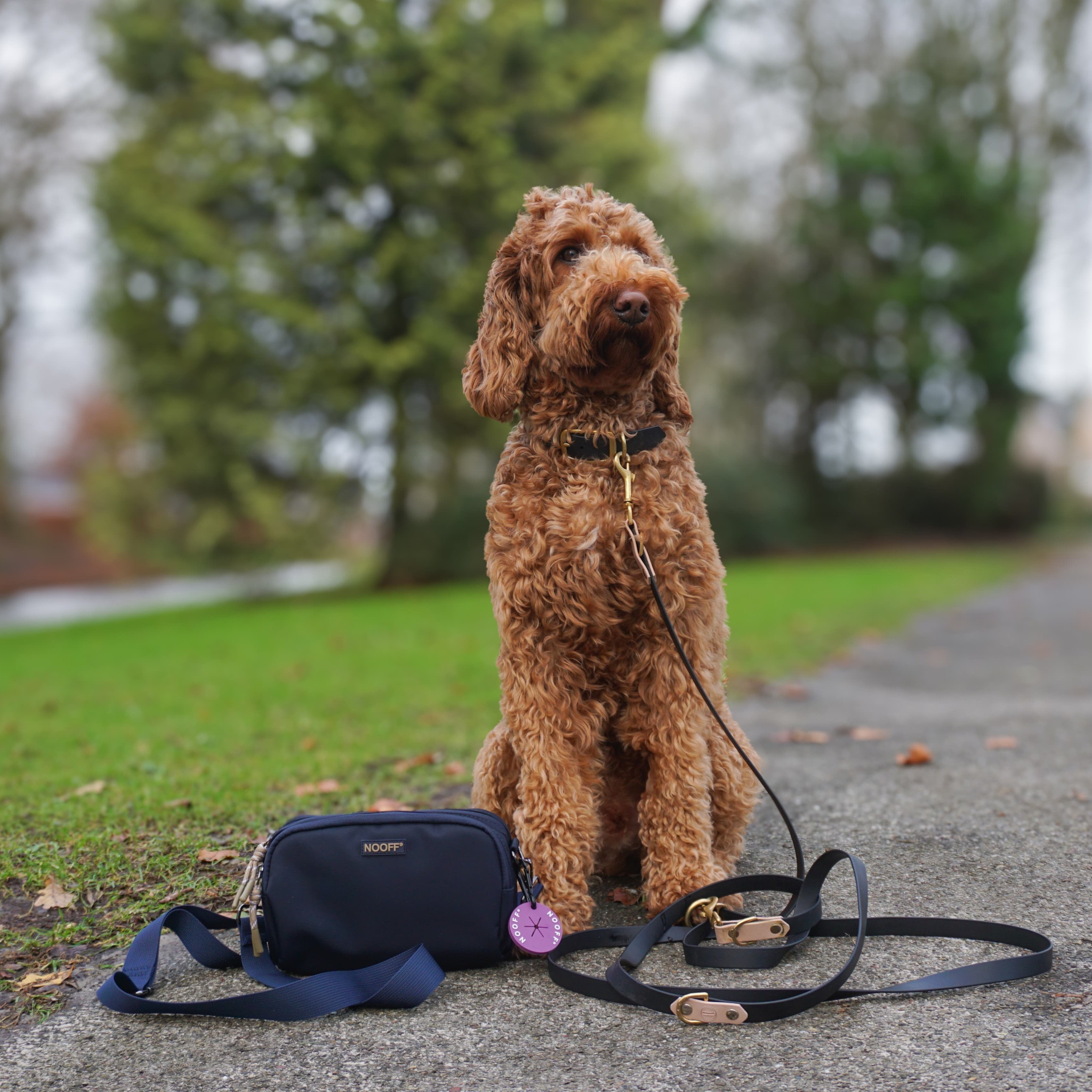Belohnungstasche für Hunde | Dunkelblau