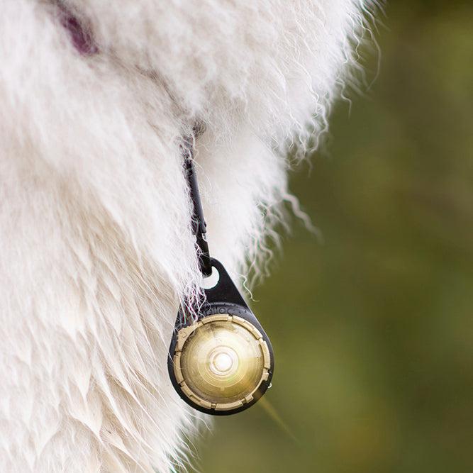 goud orbiloc lampje met carabiner