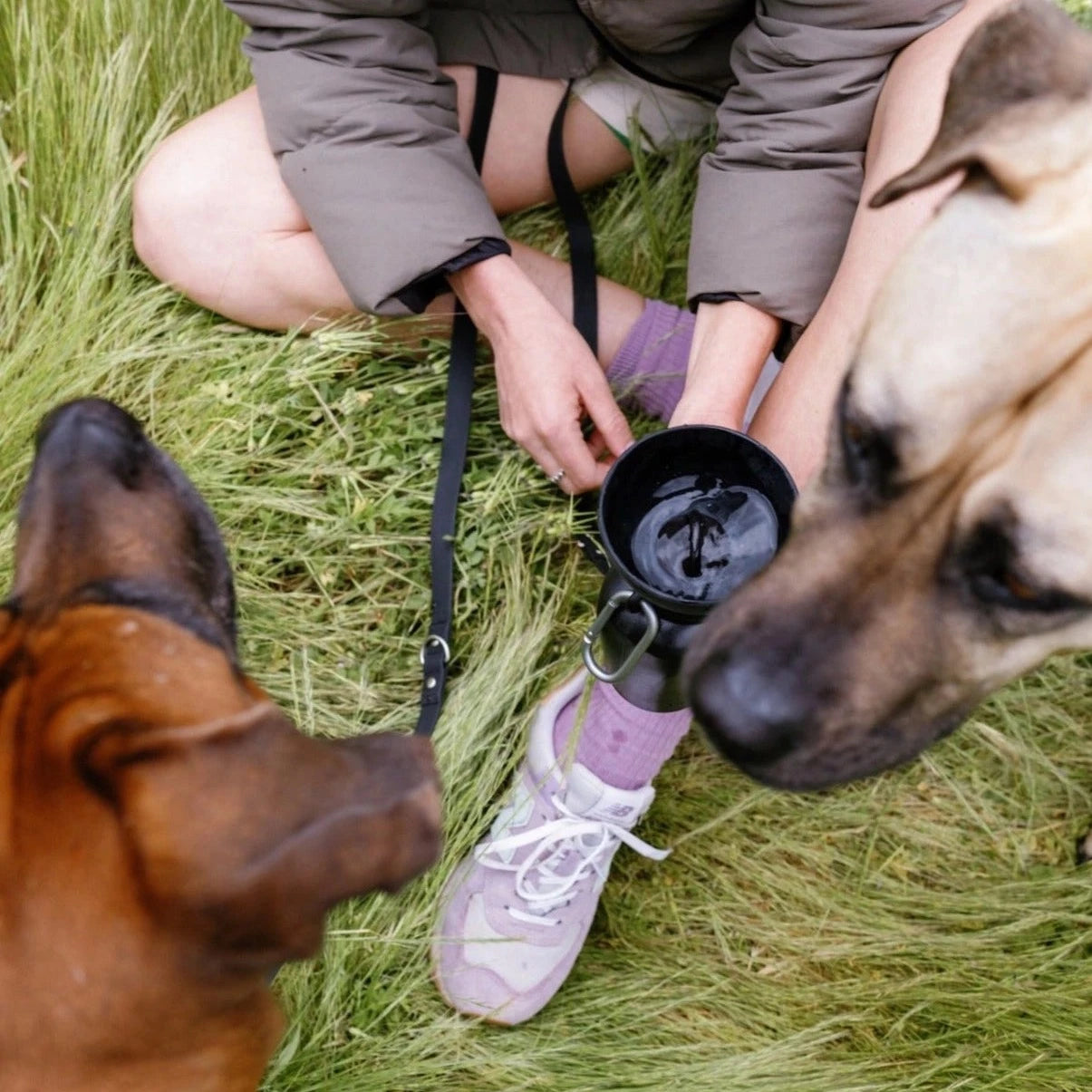 Hond drinkt uit Hondendrinkfles zwart merk Springer Flip 591ML lekdicht