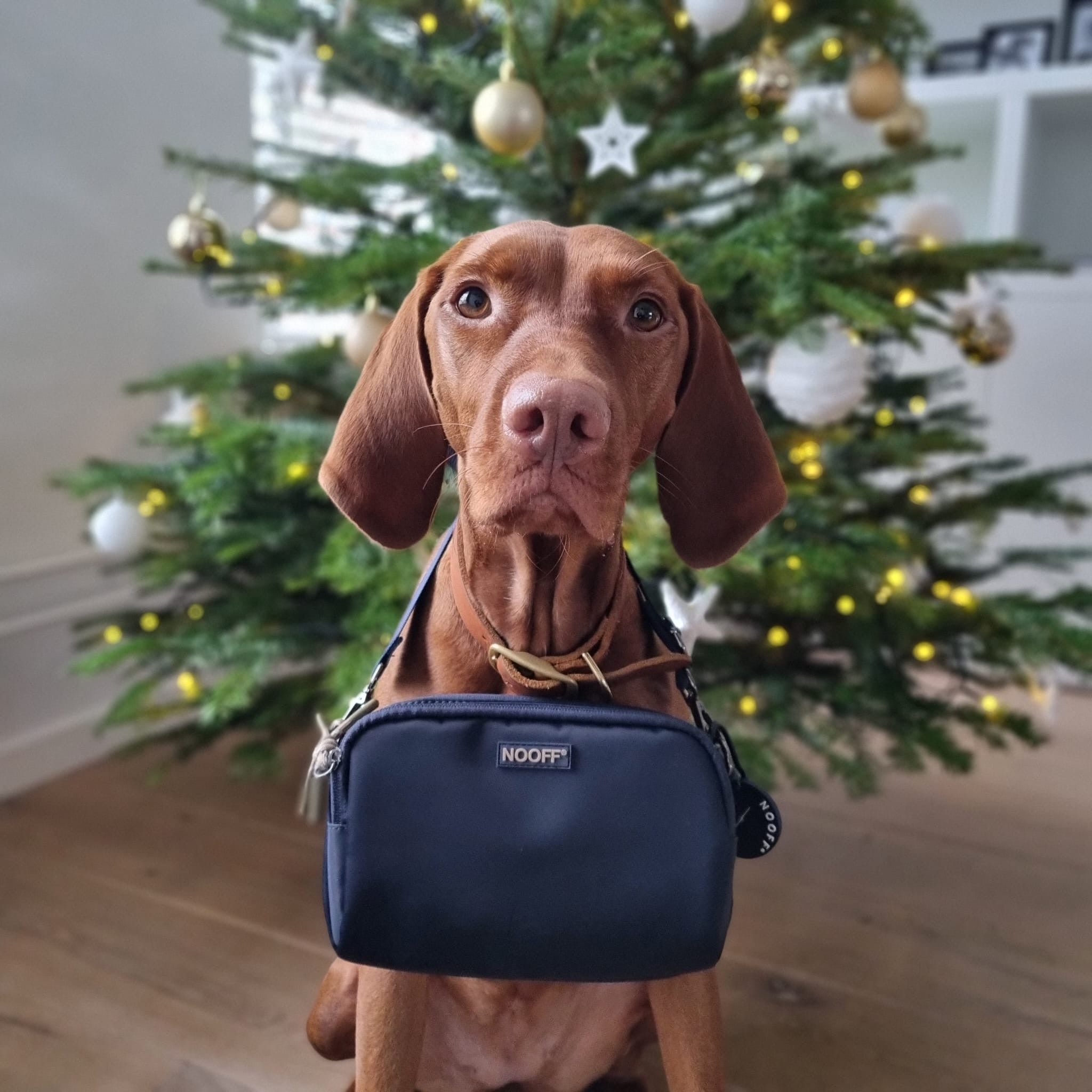 Belohnungstasche für Hunde | Dunkelblau
