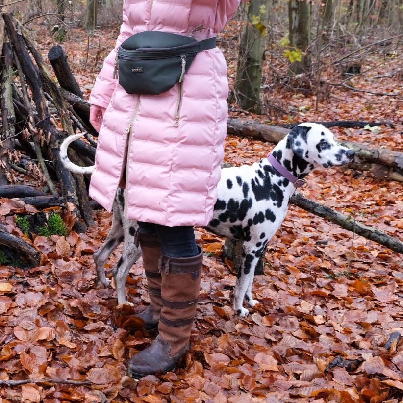 Hunde-Hüfttasche | Wasserabweisend | Abnehmbare Snacktasche | Olivgrün