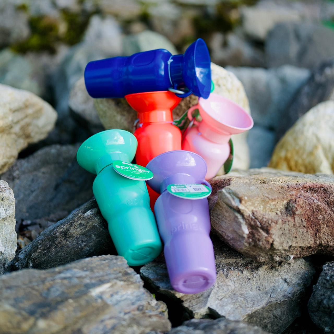 Springer hondendrinkfles in roze, paars, groen, rood en indigo 650ML lekdicht