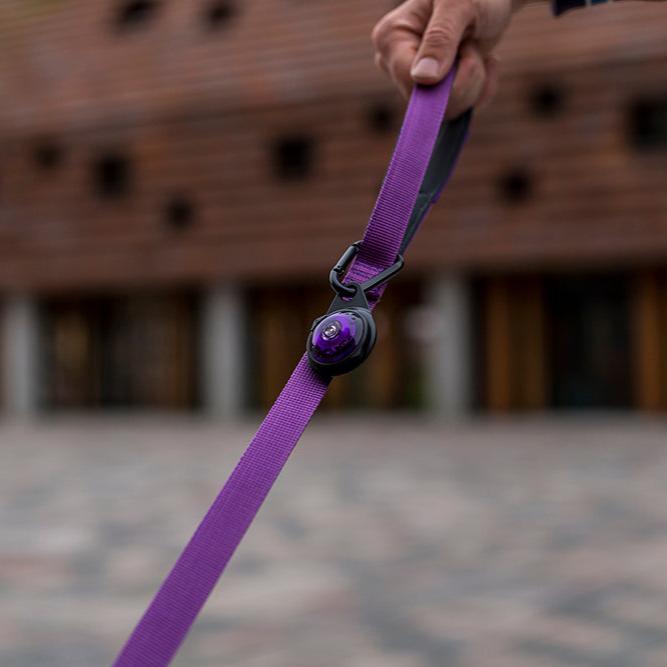 orbiloc lampje carabiner bevestigd aan hondenriem