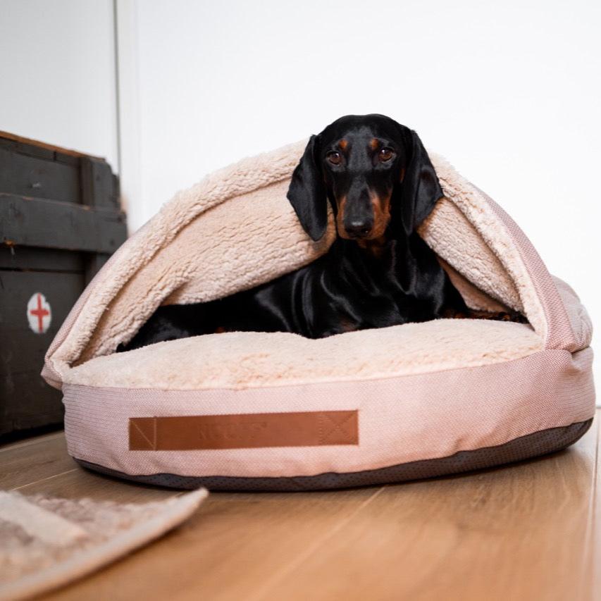 Teckel ligt in beige cave