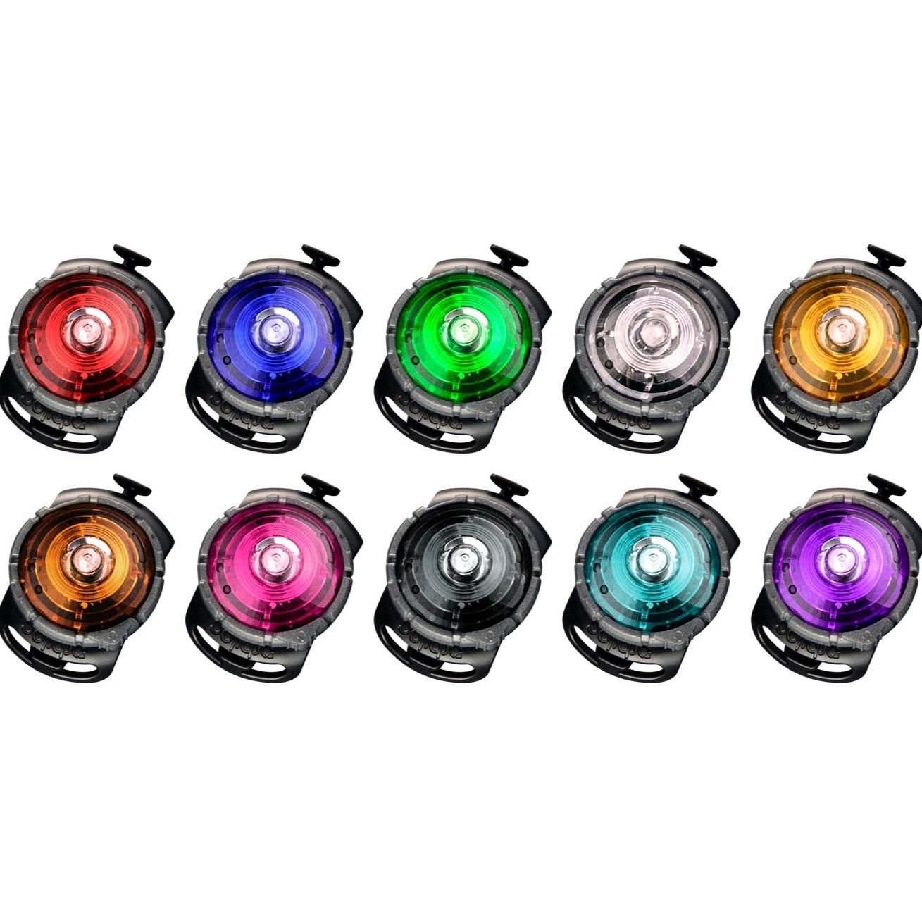 Orbiloc safety lights voor honden in verschillende kleuren