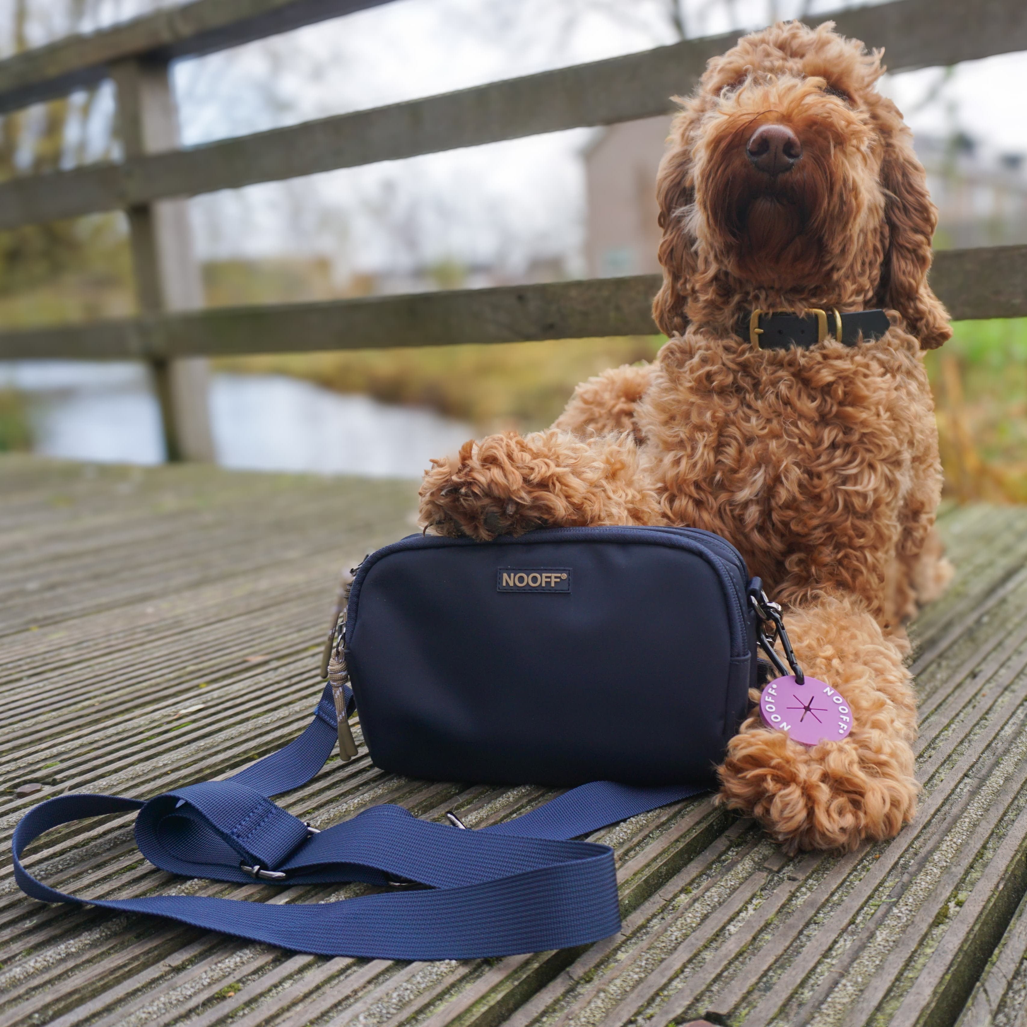 Dog Reward Bag | Dark Blue