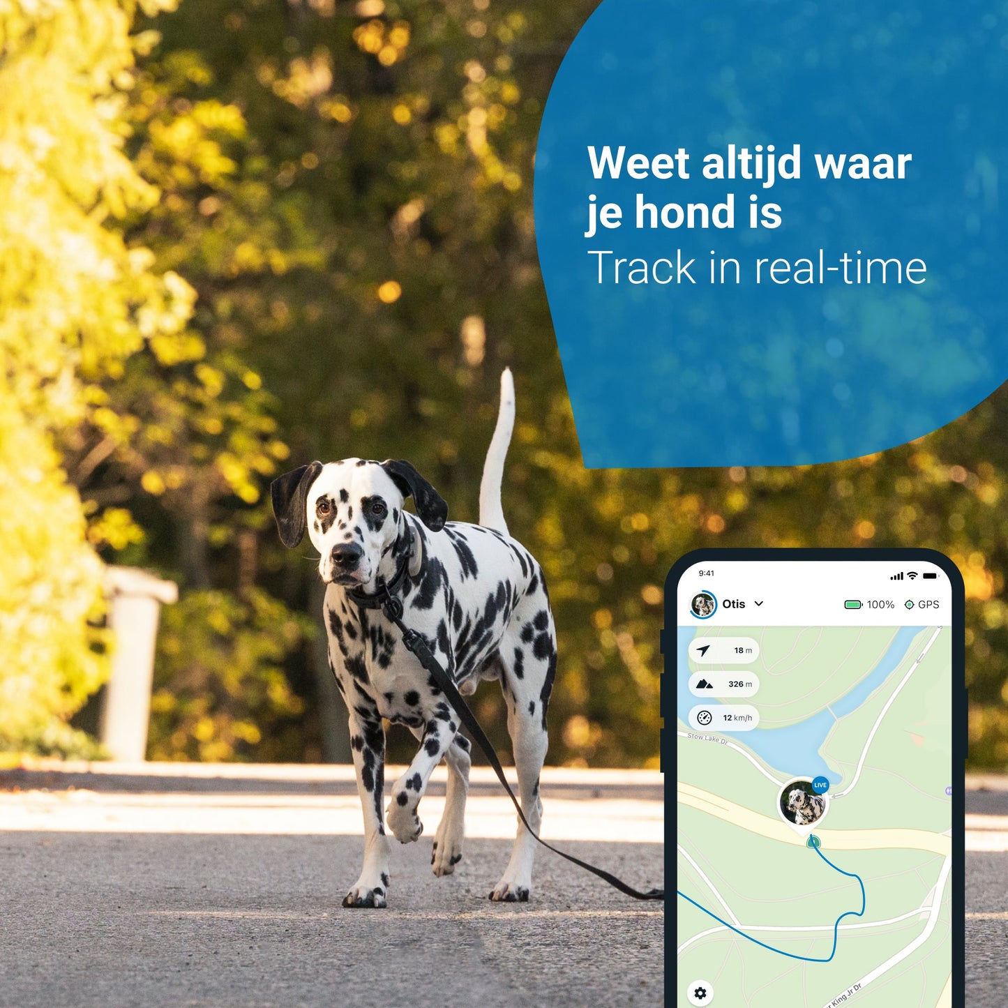 Tractive GPS-Hundetracker DOG 4 | Dunkelblau